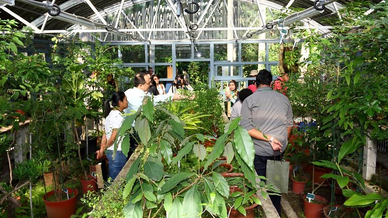 海外訪客探訪台北植物園的溫室。