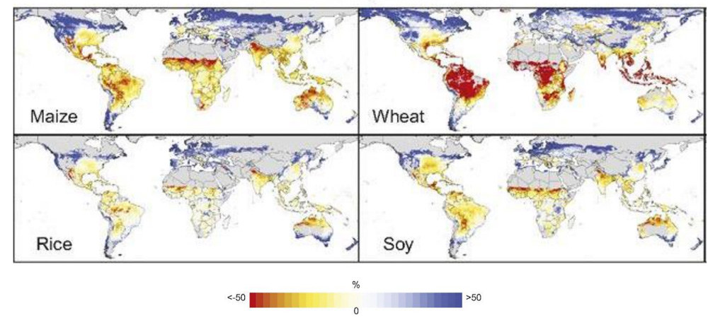 Median yield changes expected for maize, wheat, rice and soy in 2070-99, when compared with yields from 1980-2010, under a severe climate change scenario (RCP8.5). Red shows yield declines of up to 50% while blue shows increases of up to 50%. Grey shows areas where crops are not grown. Source: Figure 5.4 from the IPCC land report.