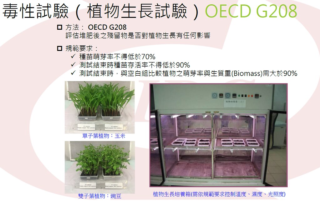 毒性試驗(植物生長試驗)。孫文臨攝