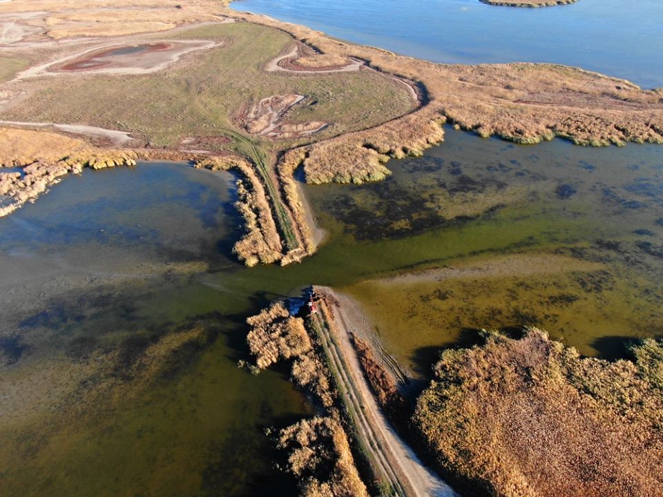拆除中的烏克蘭水壩。照片來源：Rewilding Ukraine