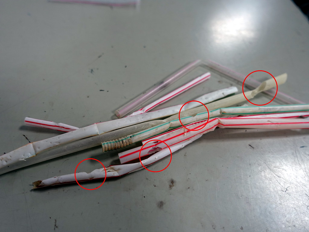 淨灘檢測，有海洋生物咬痕的塑膠吸管，如紅圈處。圖片來源：台灣環境資訊協會