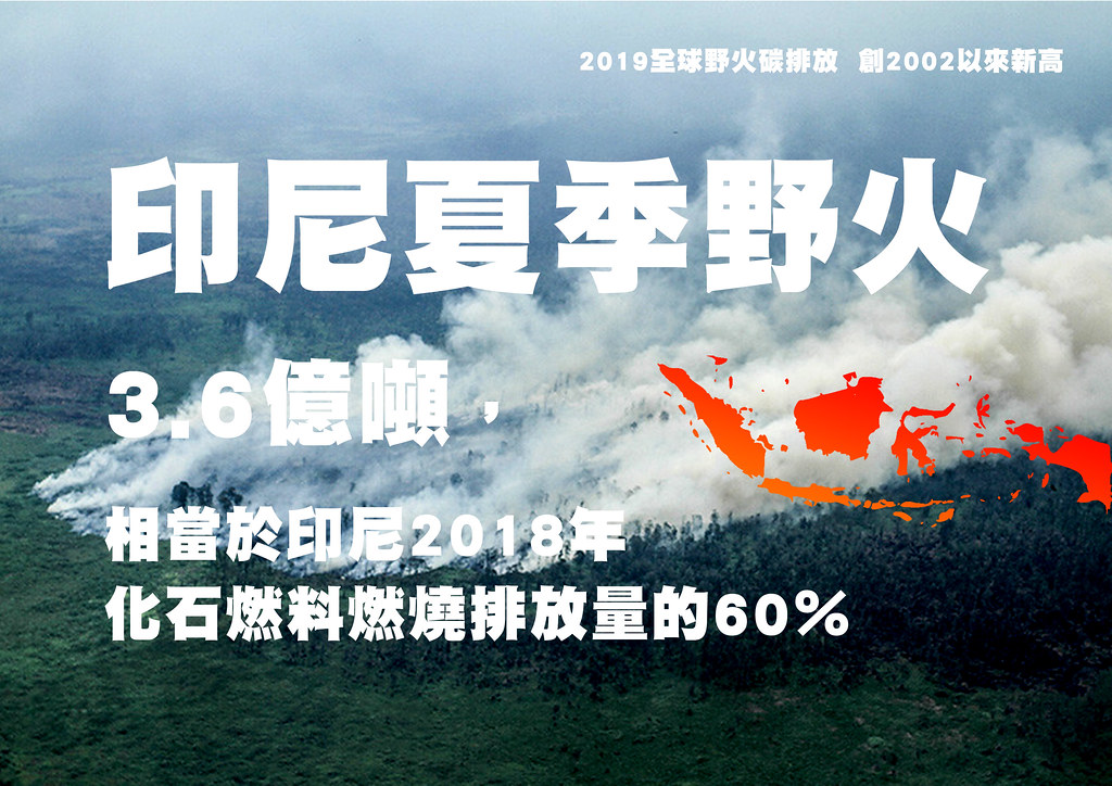 2019全球野火碳排放