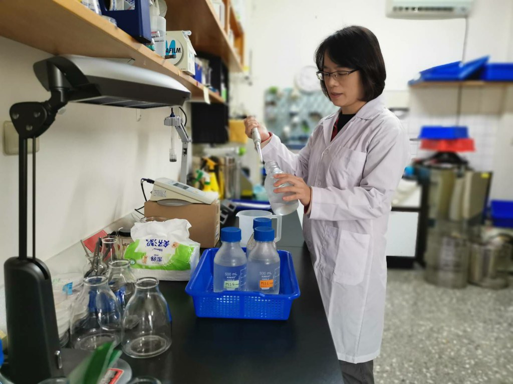 組織培養室專門解決植物生育的疑難雜症,更是受脅植物繁衍族群的希望,張麗慧則是箇中好手,經手無數果莢、種子,枝條、頂芽也難不倒他。圖片來源:特生中心提供