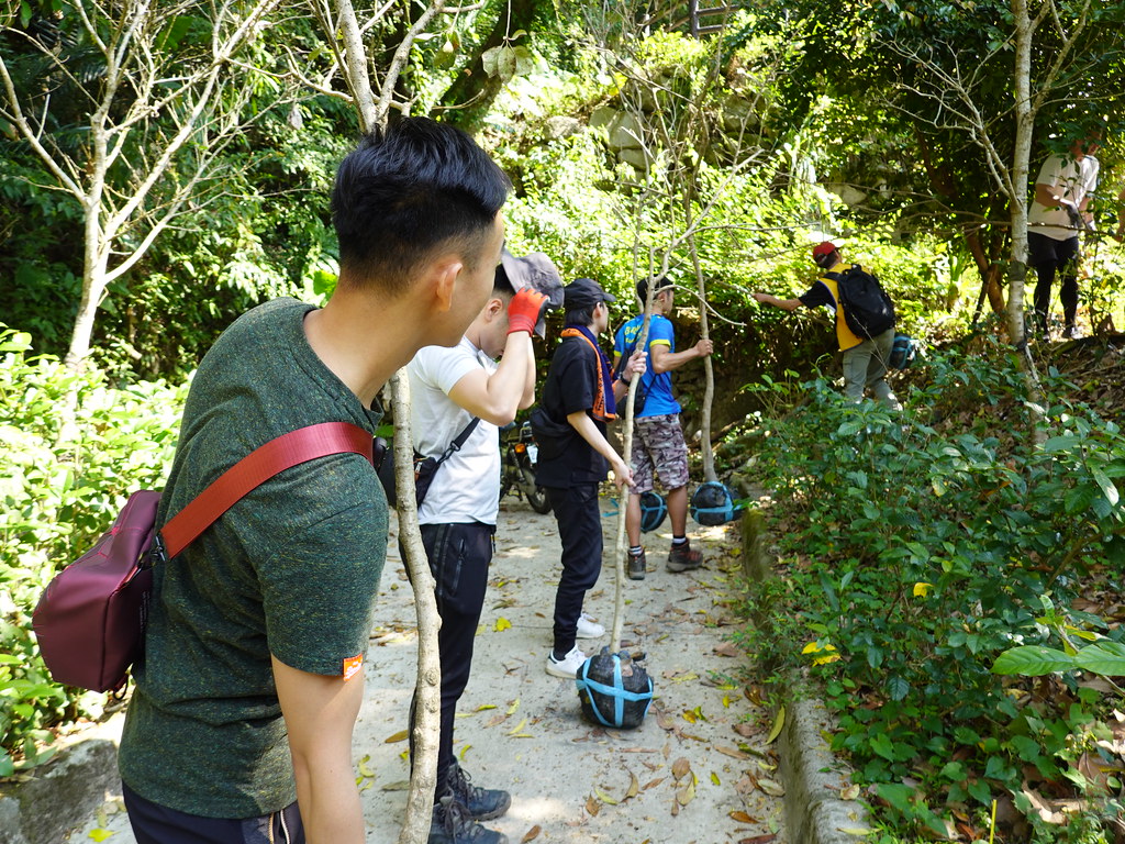 民眾以接力的方式將超過3公尺,重達30公斤的樹木搬到植樹地點。孫文臨攝