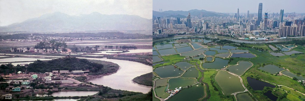左:1979年從香港落馬洲眺望的景象。河對岸未來將成為深圳市的地方,圖里只是田野。圖片來源:John Holmes / Alamy 右:今天同樣位置的畫面對比顯示了城市化的快速發展。深圳的高樓大廈籠罩著香港的水產養殖池塘,也就是當地人口中的「基圍」。圖片來源:May Tse / South China Morning Post/ Alamy