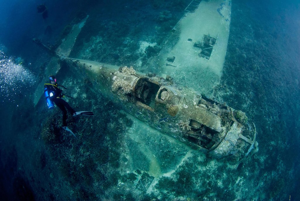 一架二戰期間美國海軍戰機的殘骸,拍攝於所羅門群島的太平洋海底。圖片來源:Media Drum World / Alamy