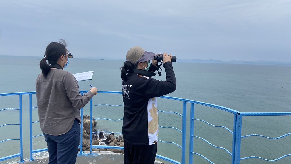 研究團隊陸續招募了多位本地居民及在馬祖工作者,共同協助進行露脊鼠海豚的陸地觀測。圖片來源:洪巧芸、彭慧文 提供