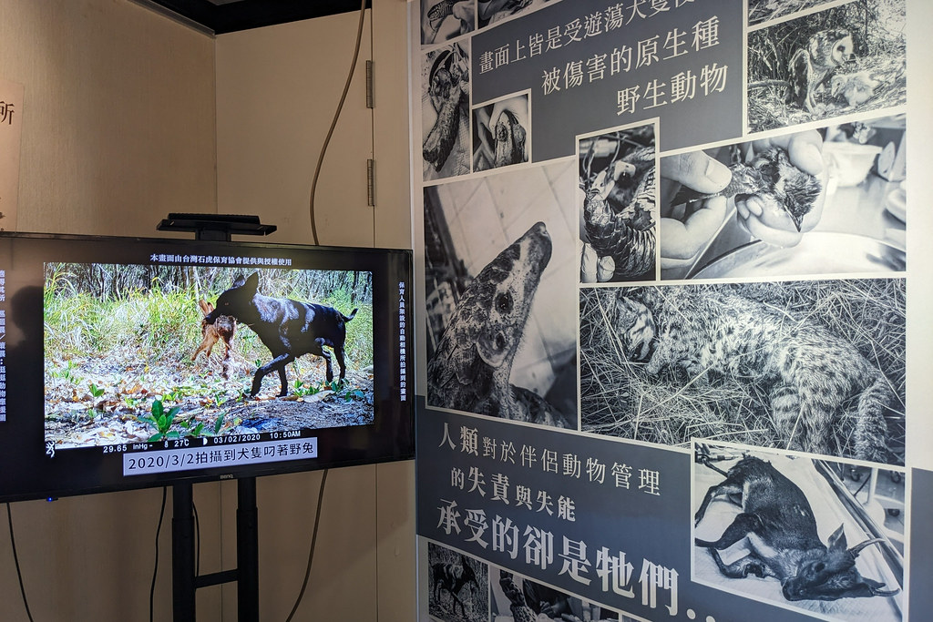適得其所在壽山國家自然公園遊客中心展出。攝影:李育琴