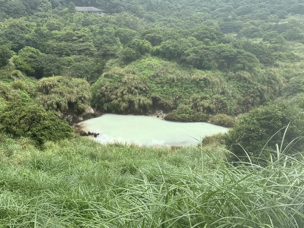 兼顧知性、遊樂,又能徜徉在大自然的洗禮中,陽明山國家公園與菁山自然中心是親子出遊好選擇,圖為陽明山牛奶湖。攝影:蕭紫菡
