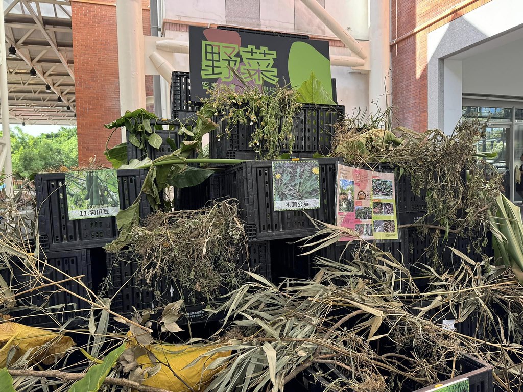 主婦聯盟執行長吳碧霜表示，透過在地風味，讓消費者重新「味覺復興」，體會到原型食物的美好，是他們一直以來思考的重點。攝影：蕭紫菡