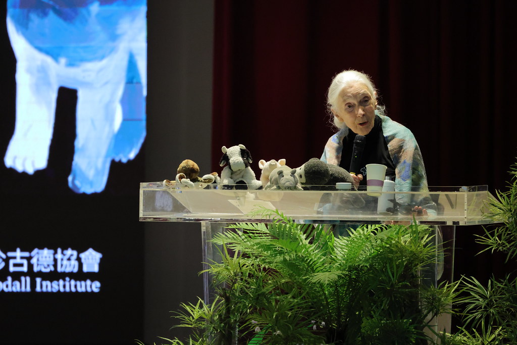 珍古德相信，每個人、每一天，都可以做出正確的選擇，累積起來，就能改變世界。圖片：國際珍古德教育及保育協會