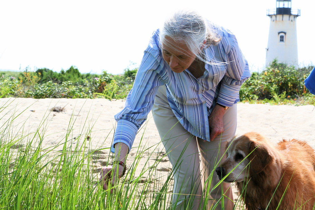 2006年珍古德與狗狗。圖片來源：William Waterway（CC BY-SA 3.0）