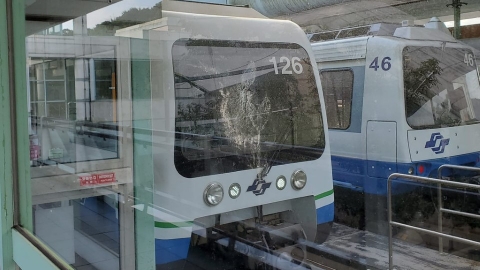 「光鳩鴿科就撞了21次」 捷運月台大面積玻璃成野鳥殺手
