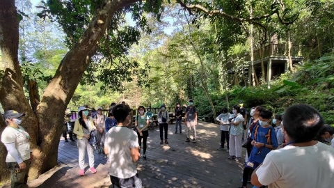 志工齊聚新竹自然谷 揮一揮衣袖 與強勢外來種小花蔓澤蘭說再見