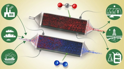 更有效、易普及 科學家發現從大氣中收集二氧化碳的新方法