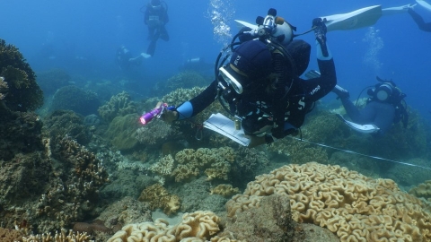 小琉球生態韌性超過臨界點？ 環團珊瑚礁體檢12年結果公布