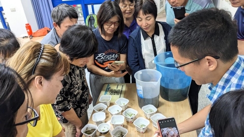守護海草床 走入鹽田當個公民科學家