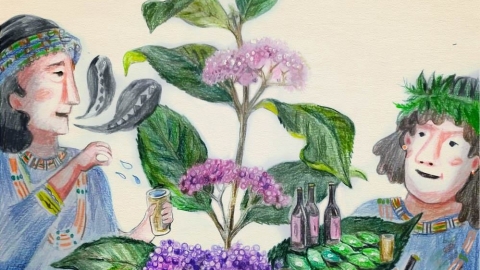 【生物多樣性的美好日常】傳統祭祀pakiqecan使用的杜虹花