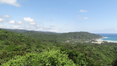 每片林都有一個名字 林務局做媒打造全民保安林