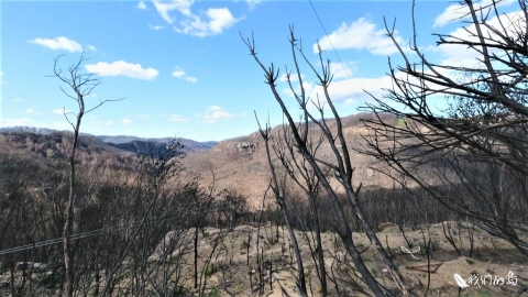 燃燒的澳洲 野火後的新生 樸門農法、種子銀行和原住民的文化燃燒