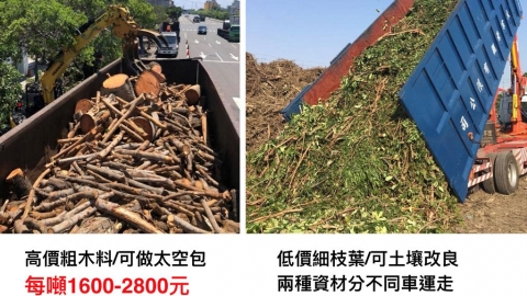 行道樹修剪木料可變賣牟利 環團：應比照漂流木、廢五金管控