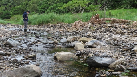 【戀上保安林2】台東大武：海邊不是垃圾場 社區巡防有功 重建豐富生物相