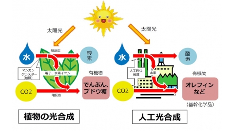 模仿植物的人工光合作用 日本太陽能利用再升級