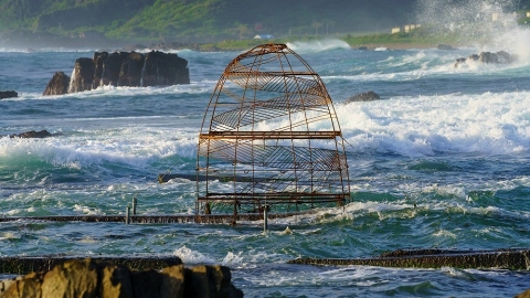 台達電將生物多樣性納入永續策略 目標年底復育千株珊瑚