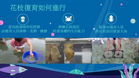 海大創九孔泡麵 打造貢寮特色產品