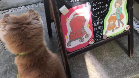日本洗衣店響應SDGs：捨棄一次性塑膠 反省人與環境關係