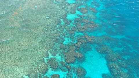 管理出包？ 大堡礁集水區驗出高濃度殺蟲劑