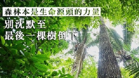 守護雨林的里程碑