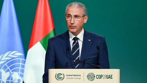 石油業資歷24年 亞塞拜然生態部長任COP29聯合國氣候大會主席