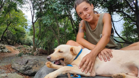 愛克特動物重生救援協會 改變動物命運