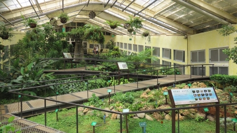 恆春半島植物方舟 來墾丁森遊花榭溫室 一次盡覽受脅物種