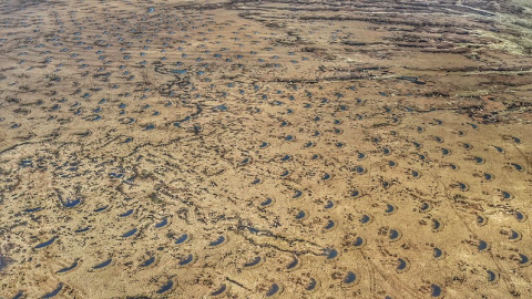 英國泥炭地變身「巨大海綿」 有助提升抗洪水、儲碳能力