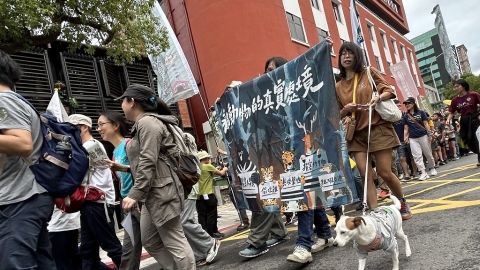 4000人為野生動物而走 上街呼籲浪浪有家不遊蕩