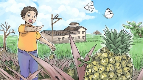 【生物多樣性的美好日常】與生物夥伴共享的有塊田