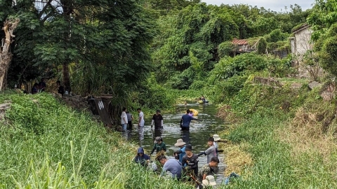  工作假期護水圳 原生種魚類「水打扁」再現五溝水濕地