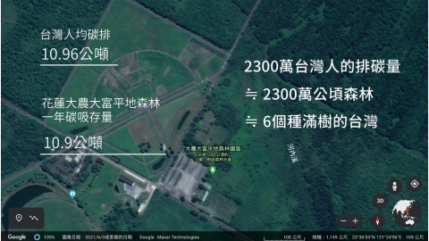 種樹抵減二氧化碳 專家：六個種滿樹的台灣才能打平國人一年碳排