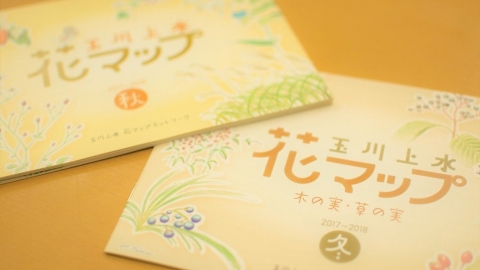 公民科學行動邁入第三年 東京都玉川上水「花地圖」二三事