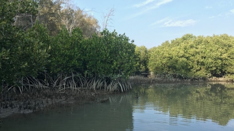 海委會APEC圓桌會議談藍碳 學者：海洋碳匯已提前達成2030年目標