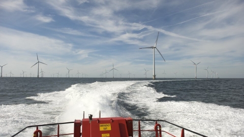 歐洲電價飆升 能源公司分析：風力與光電投資成本可在五年內回收