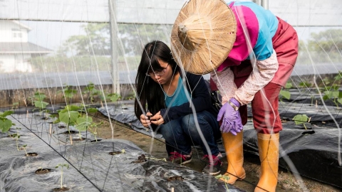 「植物醫師」在農村　美濃的第一次實驗