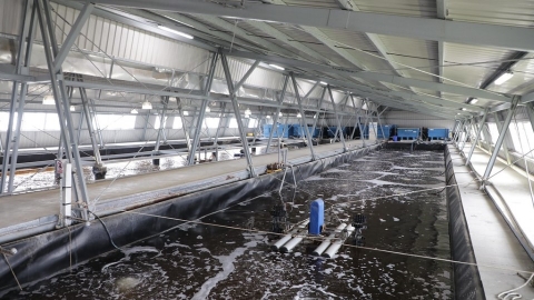 傳統魚塭和水鳥棲地一起消失？ 環團：光電進軍室內漁電 共生恐將失控