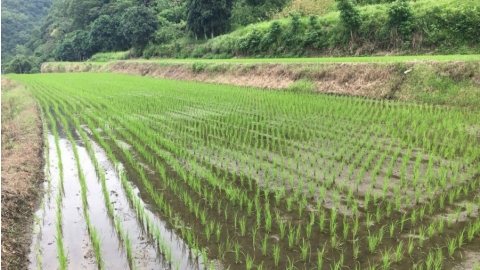 「東風」十年 燎「土地復耕」之原