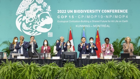  生物多樣性大會達成歷史性協議 近200國同意2030年前保護30%的陸地與海洋