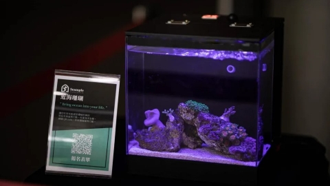 教室養珊瑚 吳鎧任帶學童進行海洋復育