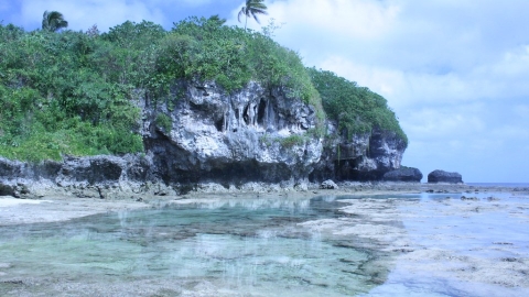 人人可以認養一片海！ 島國紐埃向全球募資1800萬美元保育海洋