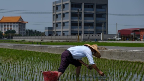 修法髮夾彎：違章農地工廠無限續命的關鍵與荒誕